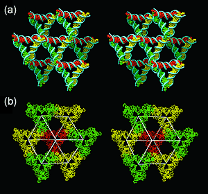 Image of 3D DNA structures